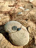 Load image into Gallery viewer, Dainty Blue Coral Nåpu Anklet
